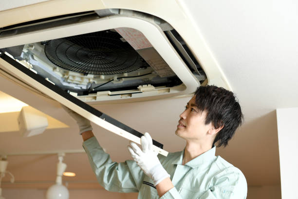 Best Air Duct Cleaning Near Me  in Williston, ND